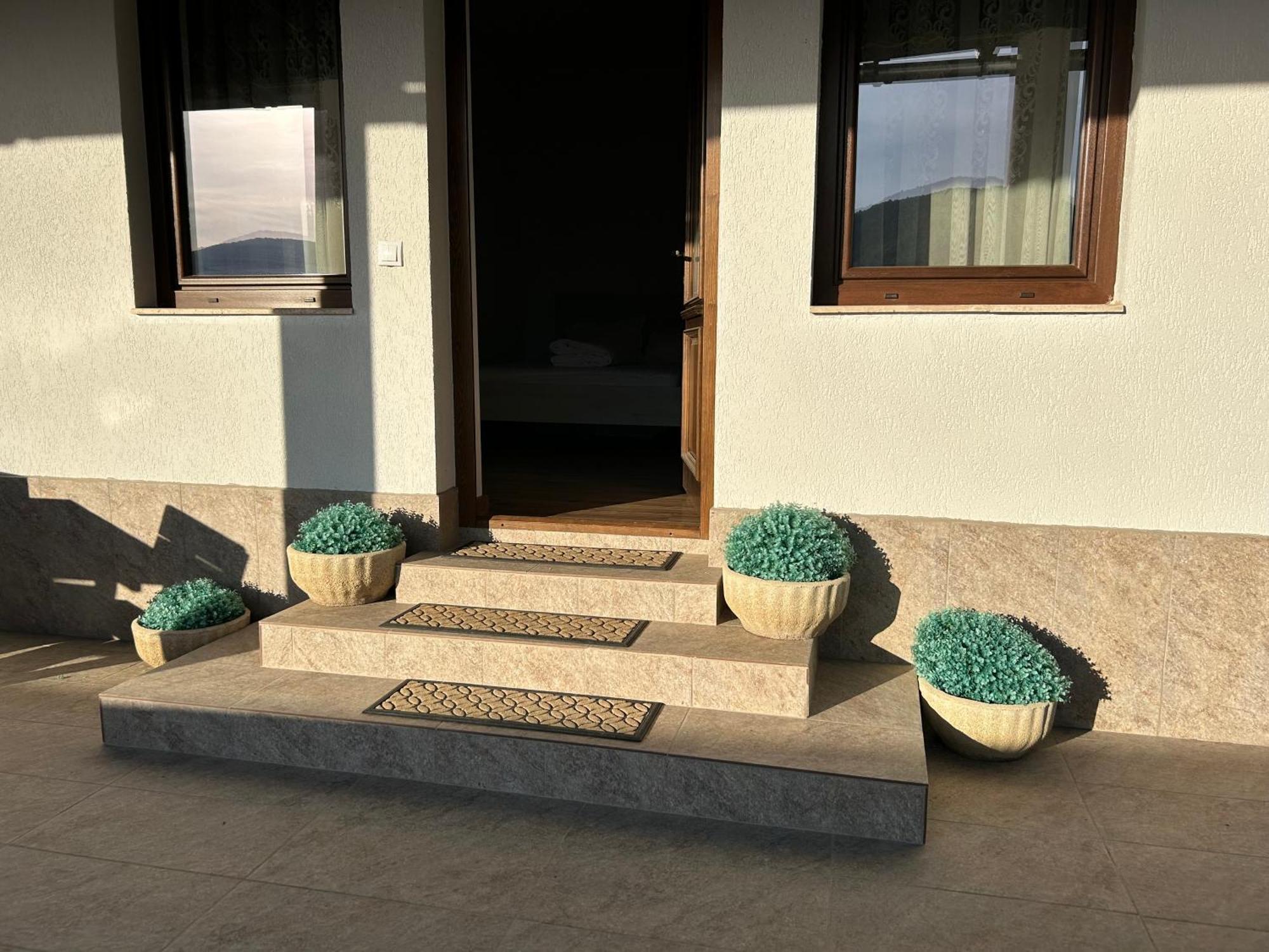 Gura Raului Casa De Vacanta Villa Exterior photo